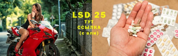 стафф Нефтекумск