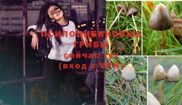 MDMA Нефтегорск