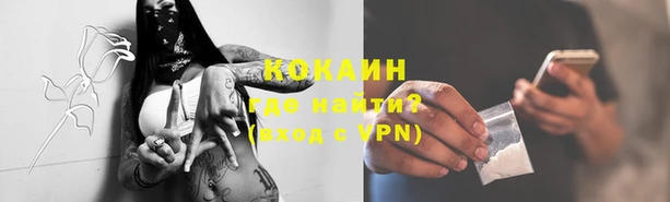 стафф Нефтекумск