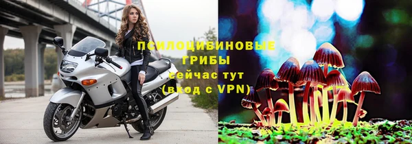 стафф Нефтекумск