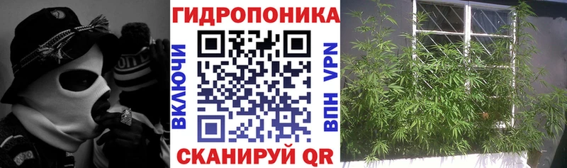 Шишки марихуана планчик Шатура